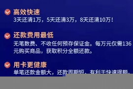 泽普泽普专业催债公司，专业催收